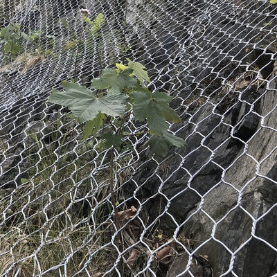 Des paniers hexagonaux en gabions tressés en alliage galvanisé pour le support de géogrides de construction