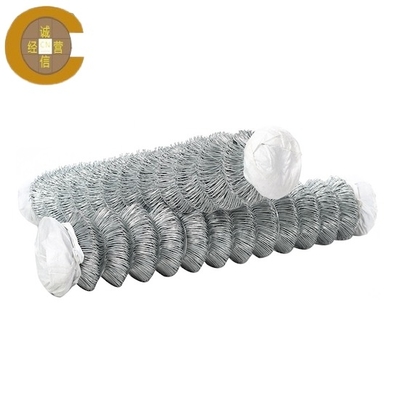 Maillage de clôture galvanisé à chaîne de fer avec revêtement en plastique