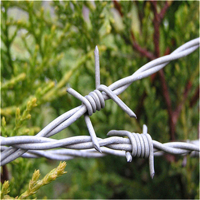 Rouleau de fil de fer barbelé à rasoir unique