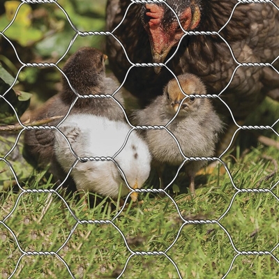 Fil de poulet galvanisé à chaîne hexagonale de qualité industrielle pour cages