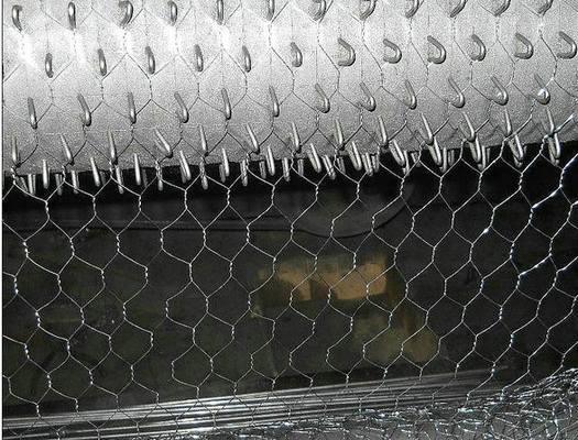 Réseau galvanisé hexagonal en fil de volaille pour poulailler