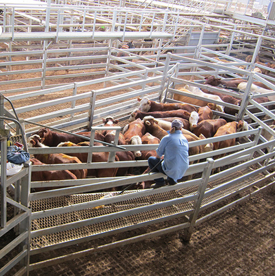 Panneaux de clôture de bétail standard en métal galvanisé pour les fermes de bétail