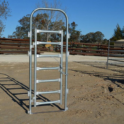 Clôture en treillis métallique galvanisé anti-rouille pour la volaille et l'élevage