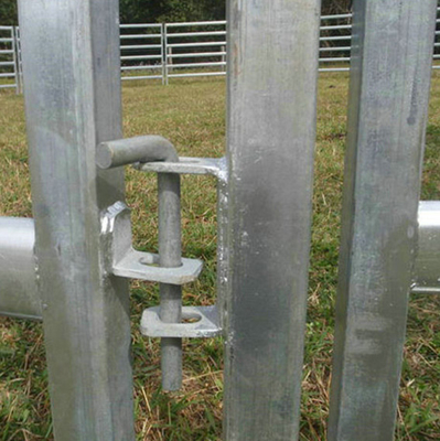 Fermeture en treillis galvanisé soudé Fermeture à treillis en rouleaux 300x48